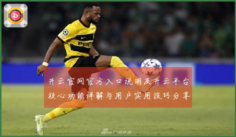 开云官网官方入口说明及开云平台核心功能详解与用户实用技巧分享